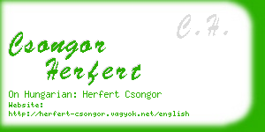 csongor herfert business card